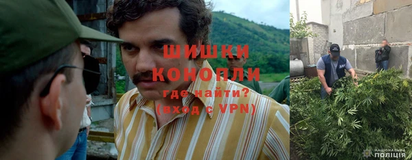 дурь Алексеевка